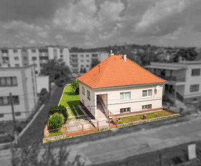 Kaufen Einfamilienhaus, Einfamilienhaus, Rybníky, Trenčín, Slowakei