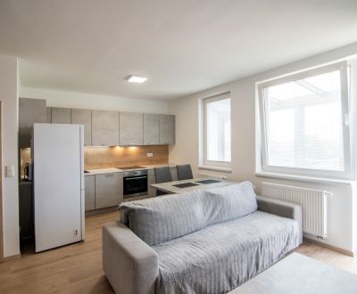 Mieten 2-Zimmer-Wohnung, 2-Zimmer-Wohnung, Svätoplukova, Pezinok, Slow