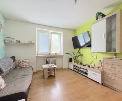 Kaufen 1-Zimmer-Wohnung, 1-Zimmer-Wohnung, Bratislavská, Ilava, Slowak