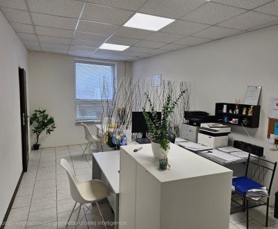 Kaufen Geschäftsräumlichkeiten, Geschäftsräumlichkeiten, Staničná, Gal