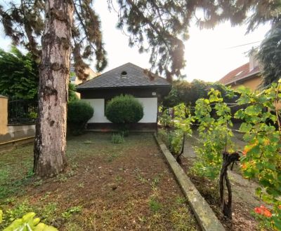 Kaufen Einfamilienhaus, Einfamilienhaus, Hlavná, Nitra, Slowakei