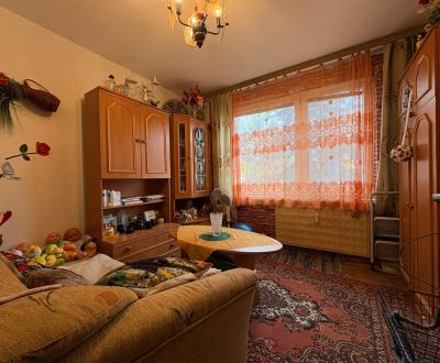 Kaufen 2-Zimmer-Wohnung, 2-Zimmer-Wohnung, Kremnická, Nitra, Slowakei