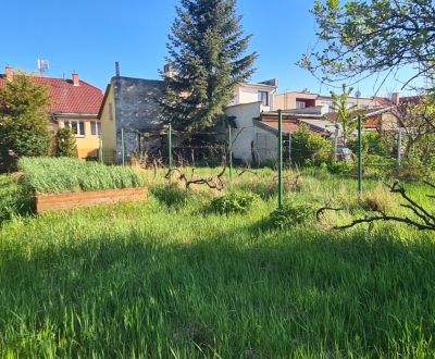 Kaufen Einfamilienhaus, Einfamilienhaus, Krajná, Trnava, Slowakei