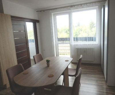Mieten 2-Zimmer-Wohnung, 2-Zimmer-Wohnung, Dlhá, Banská Bystrica, Slow