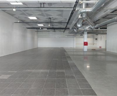Mieten Geschäftsräumlichkeiten, Geschäftsräumlichkeiten, Ivanská cesta