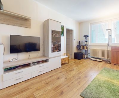 Kaufen 4-Zimmer-Wohnung, 4-Zimmer-Wohnung, Opatovská, Trenčín, Slowake