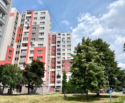 Kaufen 3-Zimmer-Wohnung, 3-Zimmer-Wohnung, Andrusovova, Bratislava - P