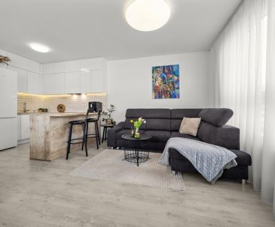 NIVY/CityPark Ružinov–Verkauf einer modernen 2,5-Zimmer-Wohnung 