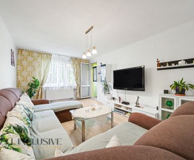 Kaufen 3-Zimmer-Wohnung, 3-Zimmer-Wohnung, Gazdovský rad, Dunajská Str