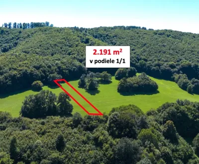 Kaufen Garten, Trenčín, Slowakei