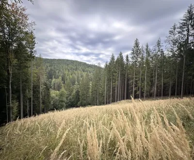 Kaufen landwirtsch. Grundstücke, Trenčín, Slowakei