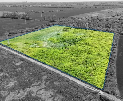 Kaufen landwirtsch. Grundstücke, Michalovce, Slowakei