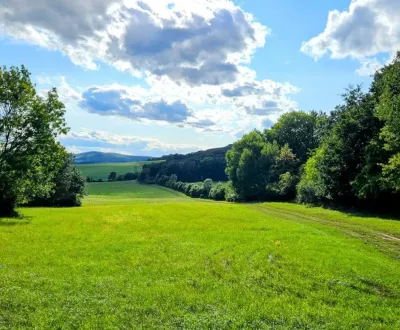 Kaufen landwirtsch. Grundstücke, Michalovce, Slowakei