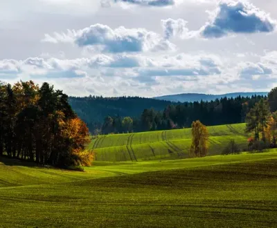 Kaufen landwirtsch. Grundstücke, Michalovce, Slowakei