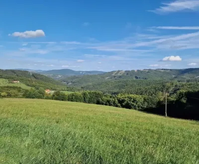 Kaufen landwirtsch. Grundstücke, Trenčín, Slowakei