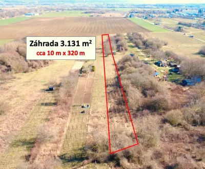 Mieten Garten, Nové Zámky, Slowakei