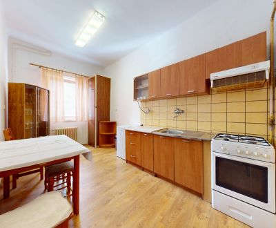 Mieten 1-Zimmer-Wohnung, 1-Zimmer-Wohnung, Dlhé Hony, Trenčín, Slowake