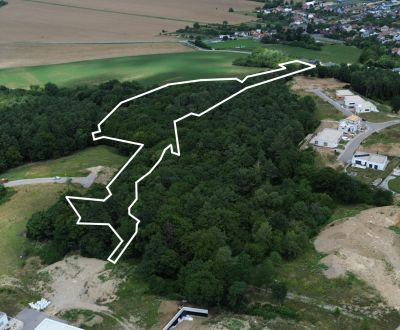 Kaufen landwirtsch. Grundstücke, landwirtsch. Grundstücke, Jabloňová, 