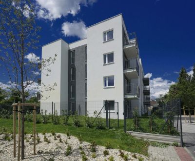 Suche Garconniere, Garconniere, Senec, Slowakei