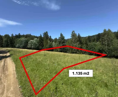 Kaufen Sonderimmobilien, Stará Ľubovňa, Slowakei