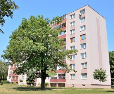 Kaufen 3-Zimmer-Wohnung, 3-Zimmer-Wohnung, Martina Rázusa, Michalovce,