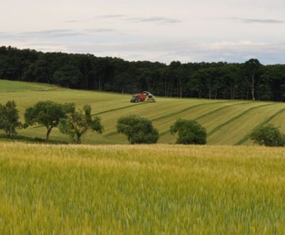 Suche landwirtsch. Grundstücke, landwirtsch. Grundstücke, Myjava, Slow