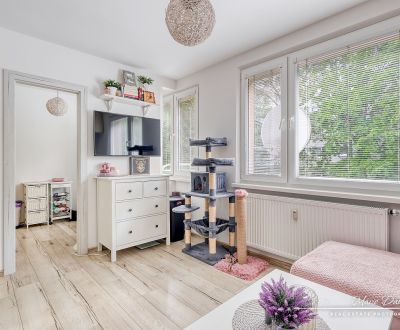Kaufen 1-Zimmer-Wohnung, 1-Zimmer-Wohnung, Čajkovského, Trnava, Slowak