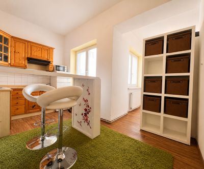 Mieten 1-Zimmer-Wohnung, 1-Zimmer-Wohnung, Národná, Banská Bystrica, S