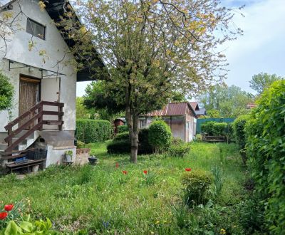 Kaufen Garten, Garten, Havrania, Senec, Slowakei