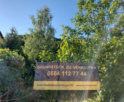 Carnuntumstraße- großer Grund, Altbestand, Hainburg an der Donau