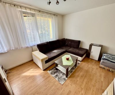 Mieten 1-Zimmer-Wohnung, 1-Zimmer-Wohnung, Moskovská cesta, Banská Bys
