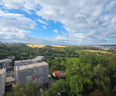 Kaufen 3-Zimmer-Wohnung, 3-Zimmer-Wohnung, Dvorkinova, Košice - Dargov