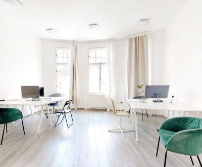 Repräsentative Büros im Altstadtstil - Devín Palast, BA I