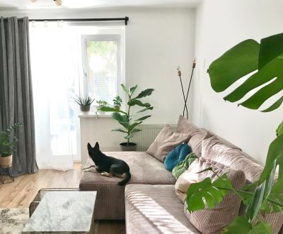 Kaufen 2-Zimmer-Wohnung, 2-Zimmer-Wohnung, Miletičova, Bratislava - Ru