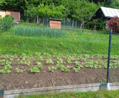 Kaufen Garten, Garten, Bukov, Čadca, Slowakei