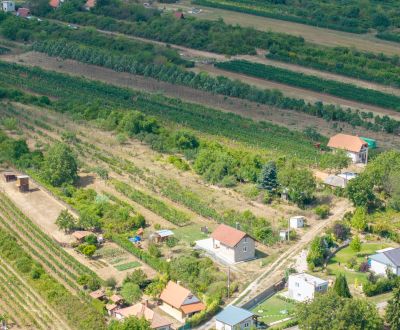 Kaufen Weinberg, Weinberg, Horný Ohaj, Nitra, Slowakei