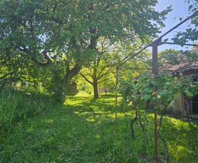 Kaufen Einfamilienhaus, Einfamilienhaus, Prešov, Slowakei