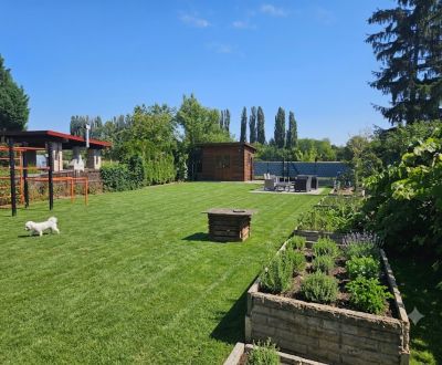 Kaufen Garten, Garten, Kamenný mlyn, Trnava, Slowakei