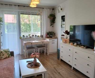 Mieten 1-Zimmer-Wohnung, 1-Zimmer-Wohnung, Sklabinská, Martin, Slowake