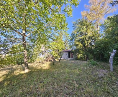 Kaufen Garten, Garten, Šípková, Košice - Krásna, Slowakei