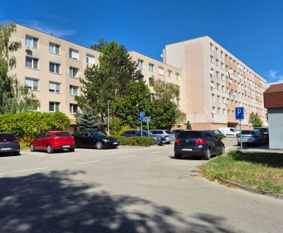 Mieten 1-Zimmer-Wohnung, 1-Zimmer-Wohnung, Bratislavská cesta, Piešťan
