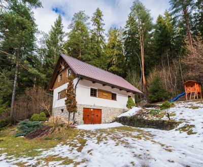 Kaufen Ferienhaus, Ferienhaus, slanicka osada, Námestovo, Slowakei