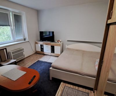 Kaufen 1-Zimmer-Wohnung, 1-Zimmer-Wohnung, Ž. Silbigera , Ružomberok, 