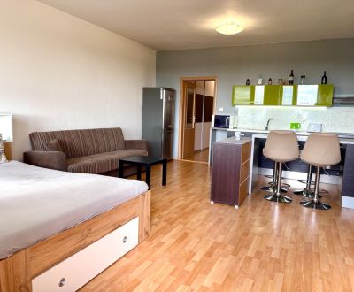 Mieten 1-Zimmer-Wohnung, 1-Zimmer-Wohnung, Vyšehradská, Bratislava - P