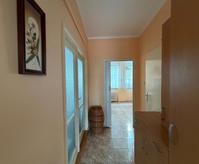 Mieten 1-Zimmer-Wohnung, 1-Zimmer-Wohnung, Royova, Piešťany, Slowakei