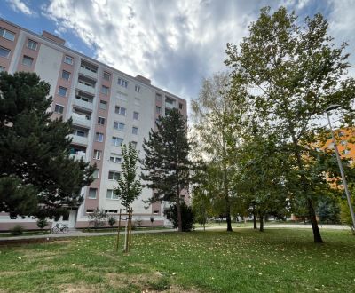 Mieten 1-Zimmer-Wohnung, 1-Zimmer-Wohnung, E. F. Scherera, Piešťany, S