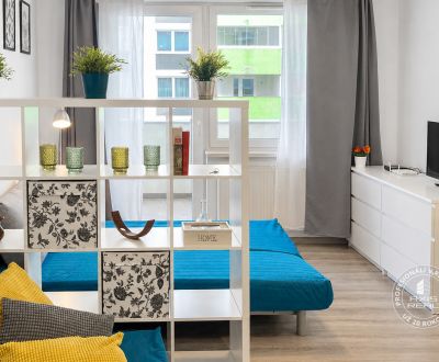 Mieten 1-Zimmer-Wohnung, 1-Zimmer-Wohnung, Rustaveliho, Bratislava - R