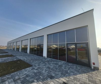 Kaufen Geschäftsräumlichkeiten, Geschäftsräumlichkeiten, Podjavorinske