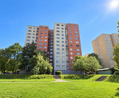 Kaufen 3-Zimmer-Wohnung, 3-Zimmer-Wohnung, Romanova, Bratislava - Petr