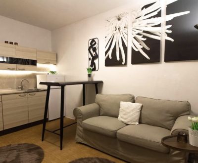 Mieten 1-Zimmer-Wohnung, 1-Zimmer-Wohnung, Veľkonecpalská, Prievidza, 